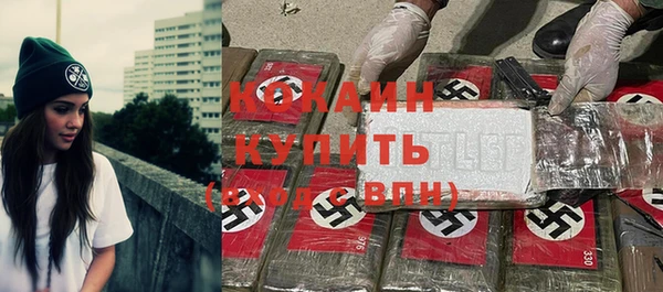 ПСИЛОЦИБИНОВЫЕ ГРИБЫ Богданович