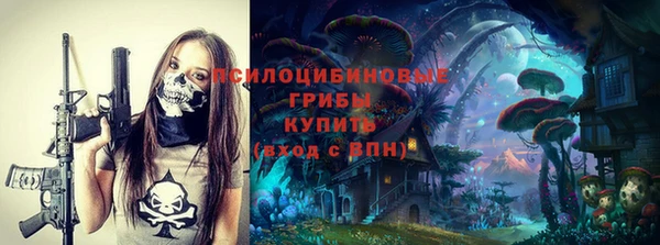 мдпв Бронницы