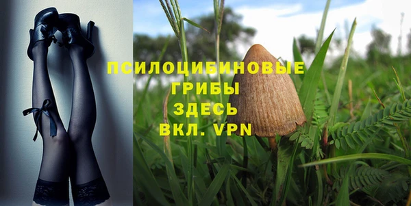 мдпв Бронницы