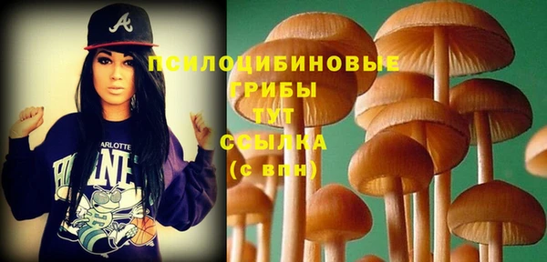 мдпв Бронницы