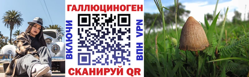 Галлюциногенные грибы мухоморы  Купить где  Остров 